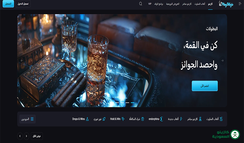 لمحة عامة عن كازينو PlayMojo